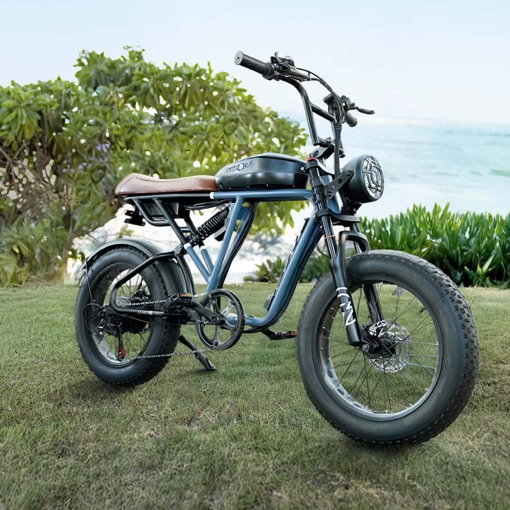 boardwalk bike on grass with a scenic background