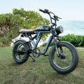 boardwalk bike on grass with a scenic background