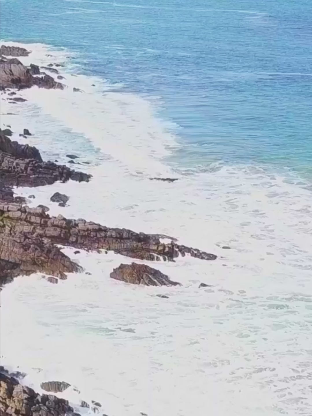 Island Cruz Difference feature video